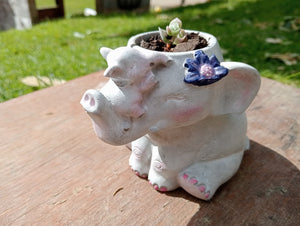 elephant planter, paint it yourself